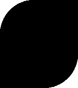 Img10